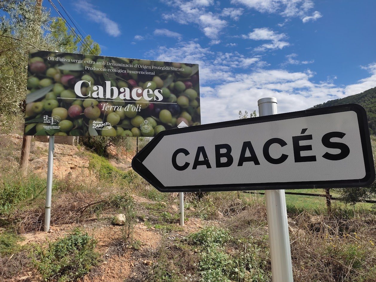 La democràcia no ens fa cap servei